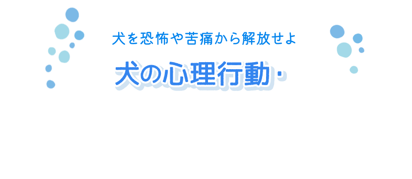 愛犬の不安や恐怖を最小限にする